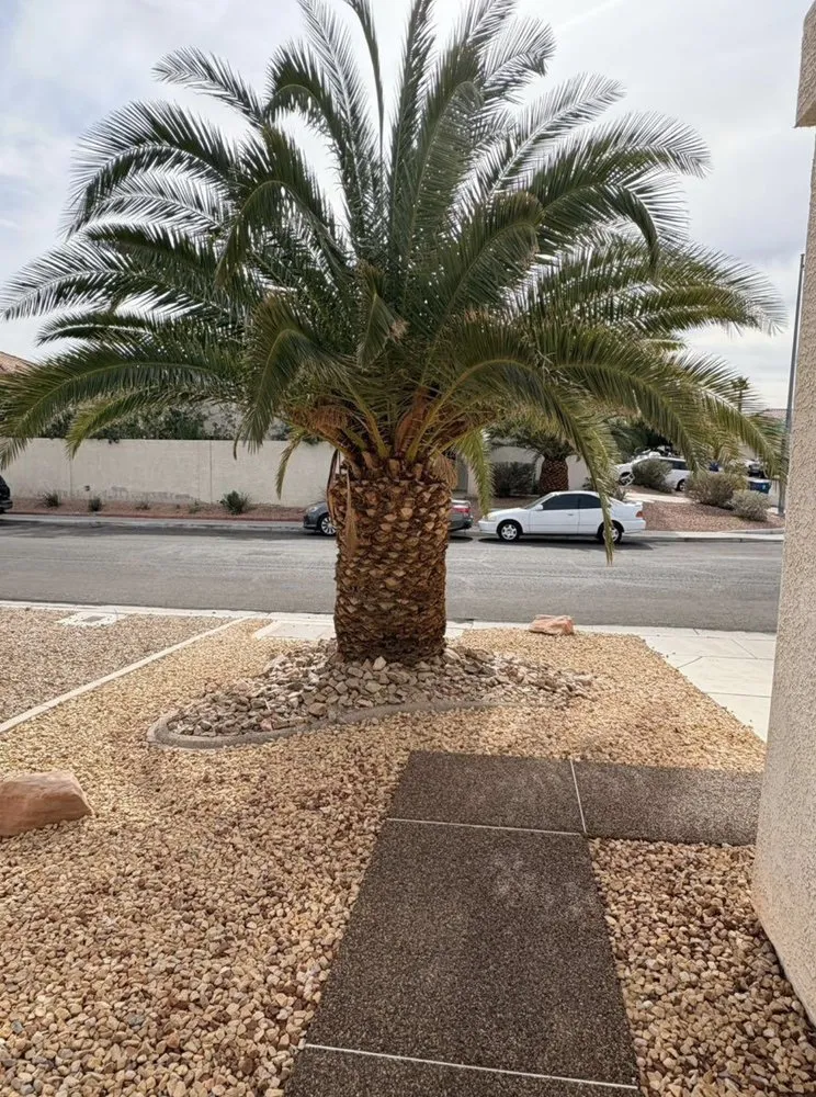 Custom residential landscaping experts serving Las Vegas, NV - Tickle My Grass Landscaping & Maintenance