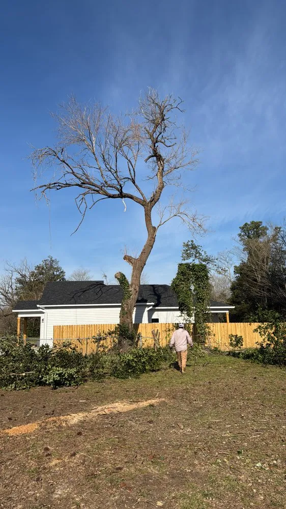 Top-rated landscape design near you in North Augusta, SC by Tico Lawn Care