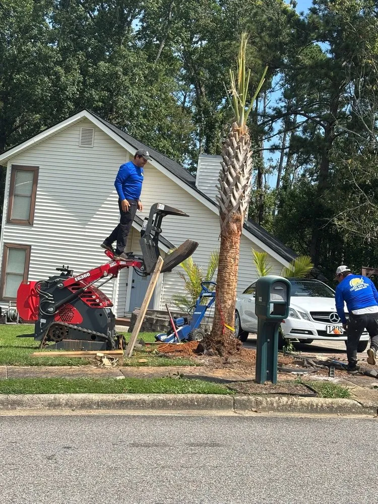 Top-rated yard maintenance experts serving North Augusta, SC - Tico Lawn Care