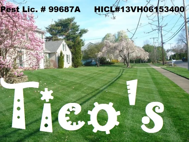 Trusted lawn mowing service experts serving Allenwood, NJ - Tico’s landscaping & Tree Service