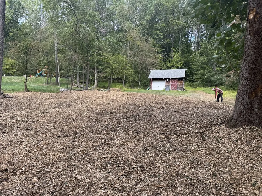 Professional outdoor landscaping in Landing, NJ - Tico's Lawn Care