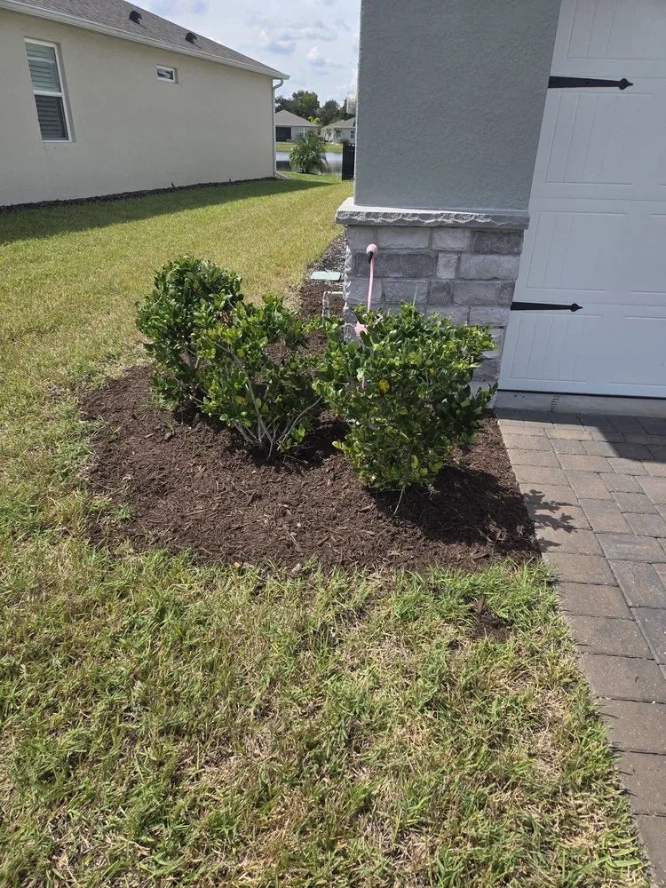 Affordable garden landscaping in New Smyrna Beach, FL - Tidal Wave Enterprises