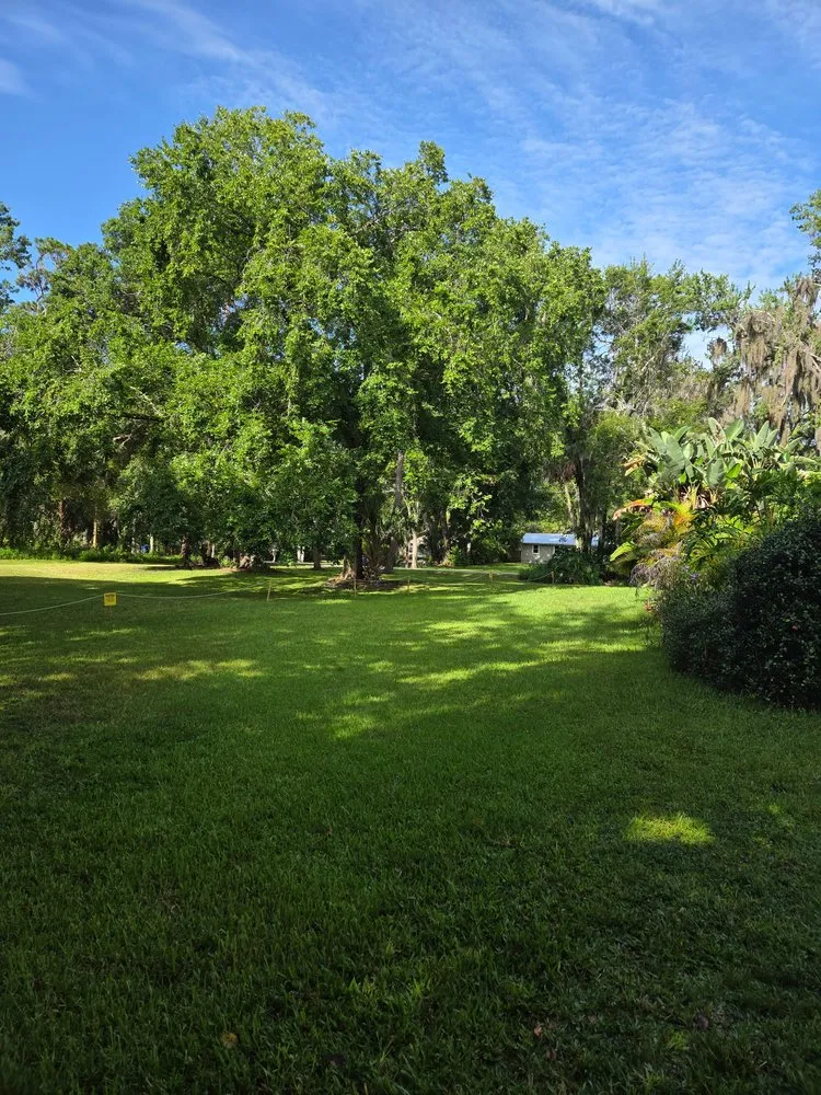Professional residential landscaping in New Smyrna Beach, FL - Tidal Wave Enterprises