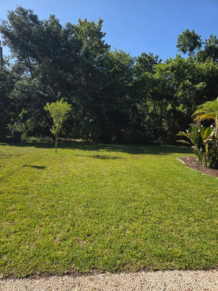 Trusted landscape design in New Smyrna Beach, FL - Tidal Wave Enterprises