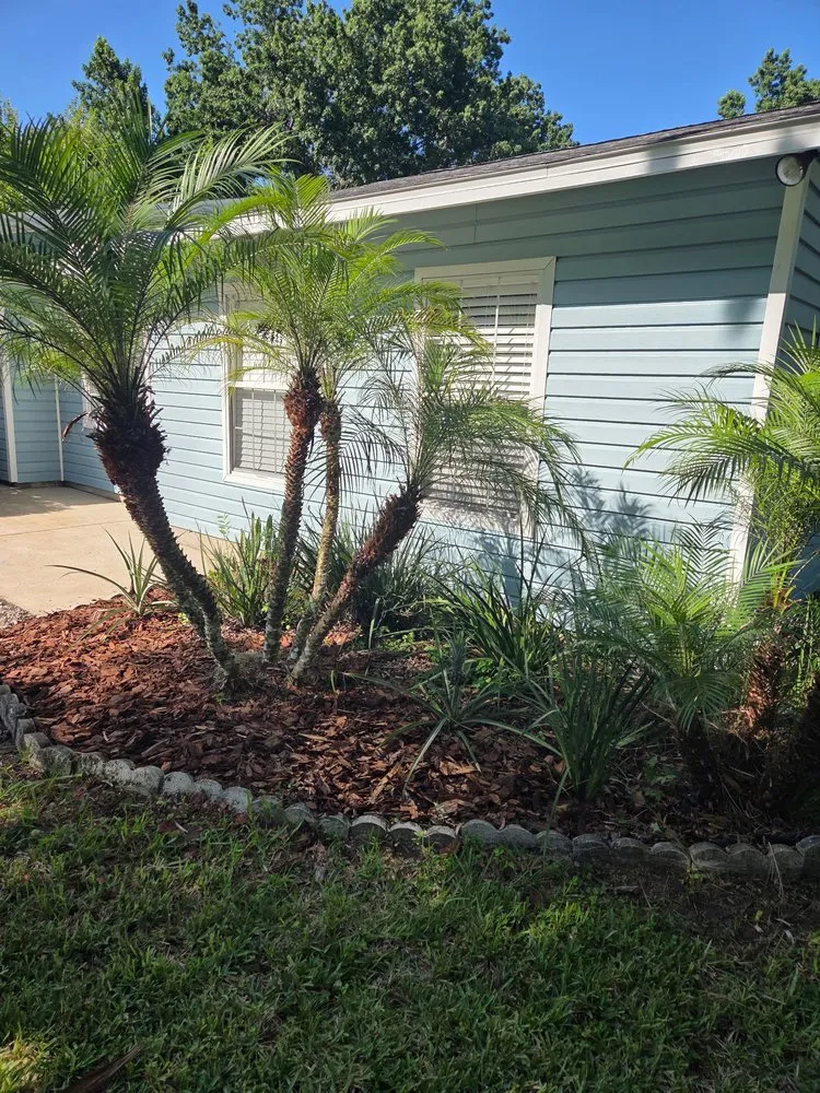 Expert lawn care service for outdoor upgrades across New Smyrna Beach, FL - Tidal Wave Enterprises