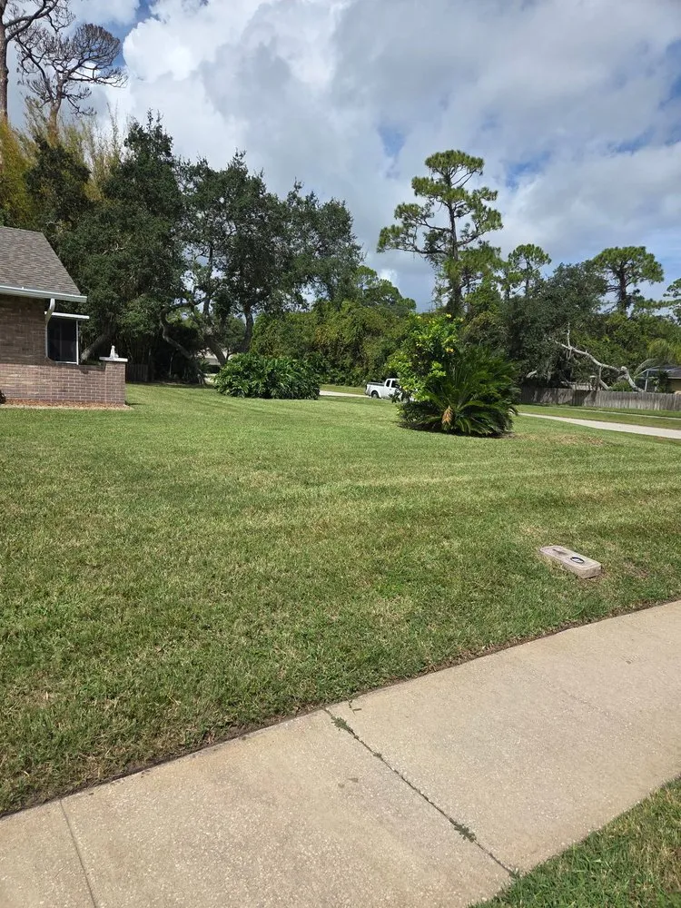 Trusted lawn care service in New Smyrna Beach, FL by Tidal Wave Enterprises
