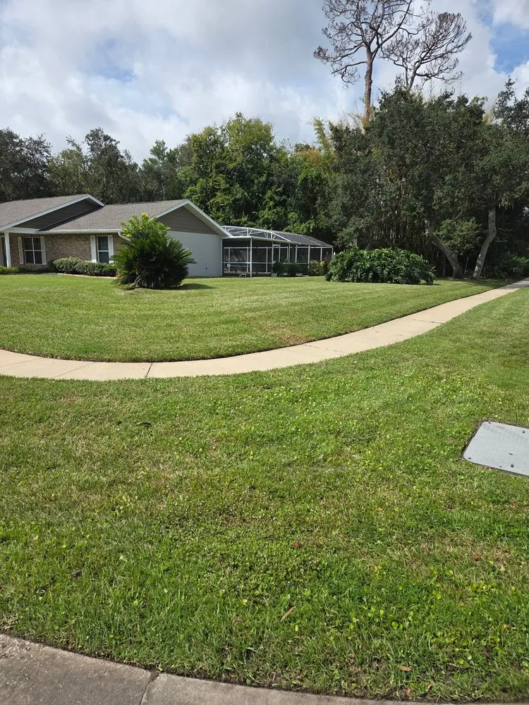 Custom lawn care service in New Smyrna Beach, FL by Tidal Wave Enterprises