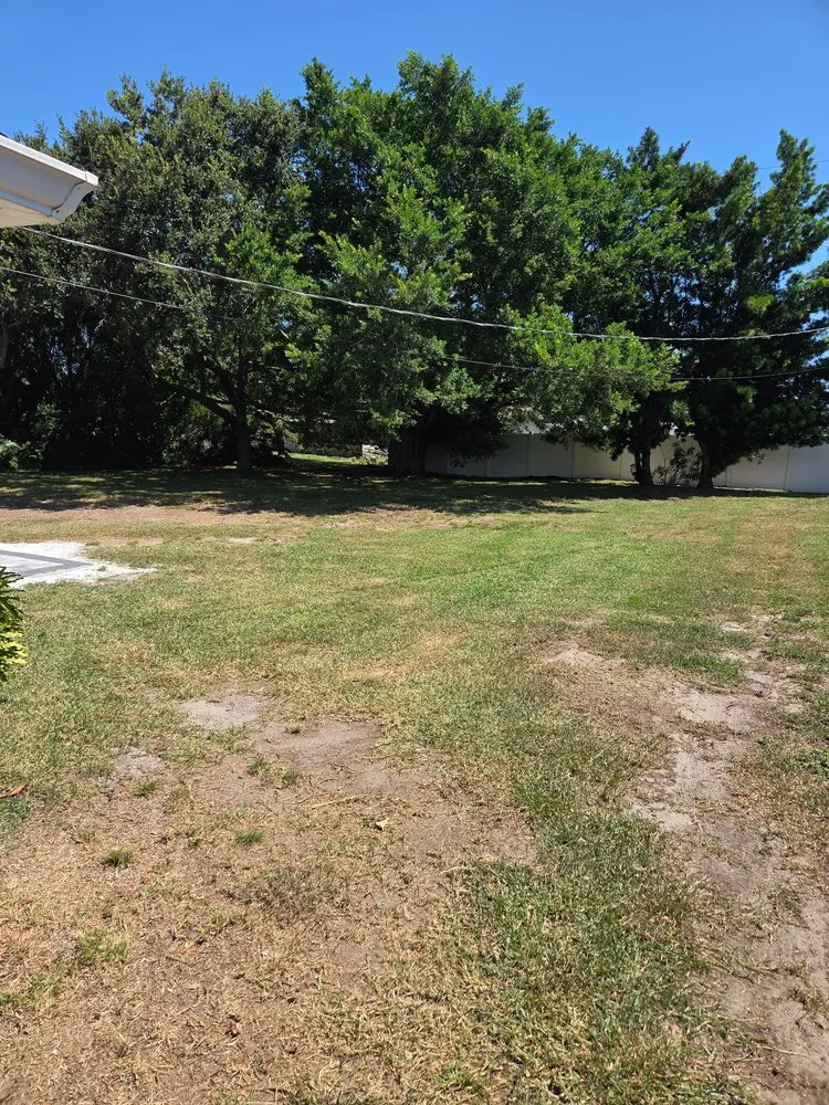 Expert yard cleanup service with custom design in New Smyrna Beach, FL by Tidal Wave Enterprises