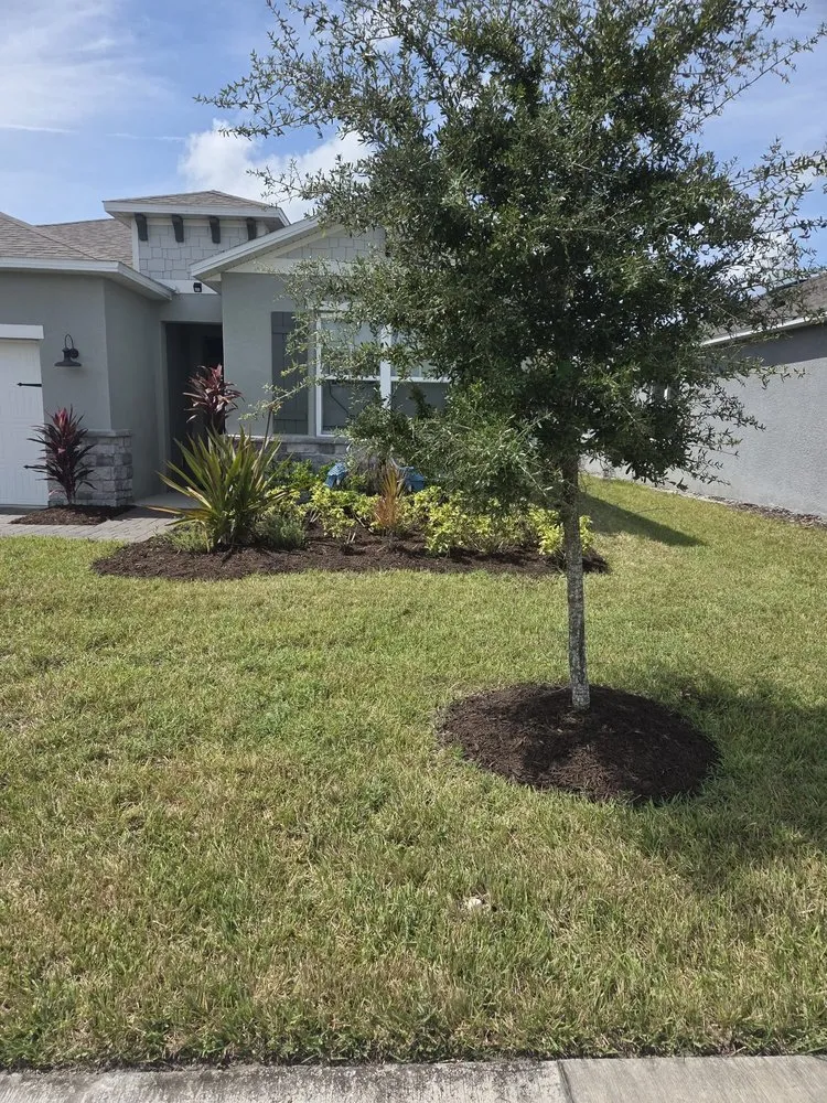Trusted outdoor landscaping experts serving New Smyrna Beach, FL - Tidal Wave Enterprises