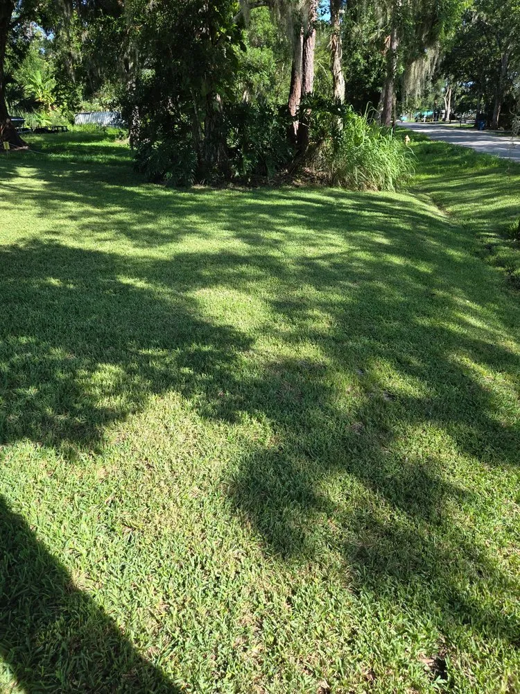 Top-rated lawn mowing service in New Smyrna Beach, FL - Tidal Wave Enterprises