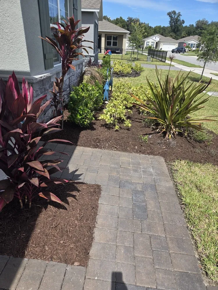 Top-rated landscape design in New Smyrna Beach, FL by Tidal Wave Enterprises