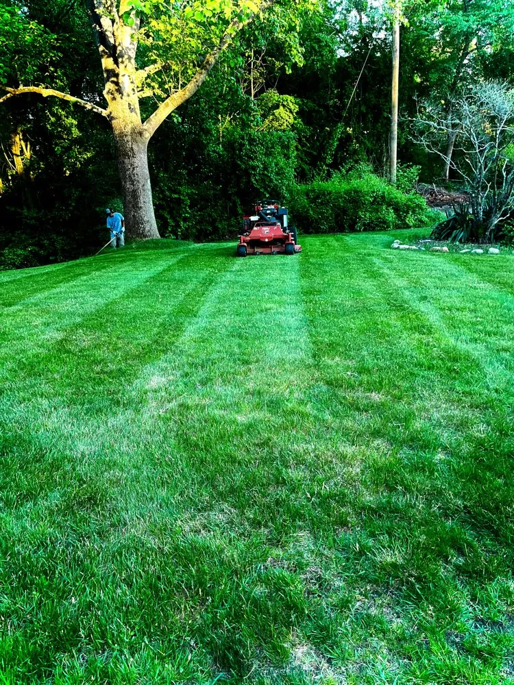 Top-rated yard maintenance with custom design in North Stonington, CT by Tidal Wave Landscaping