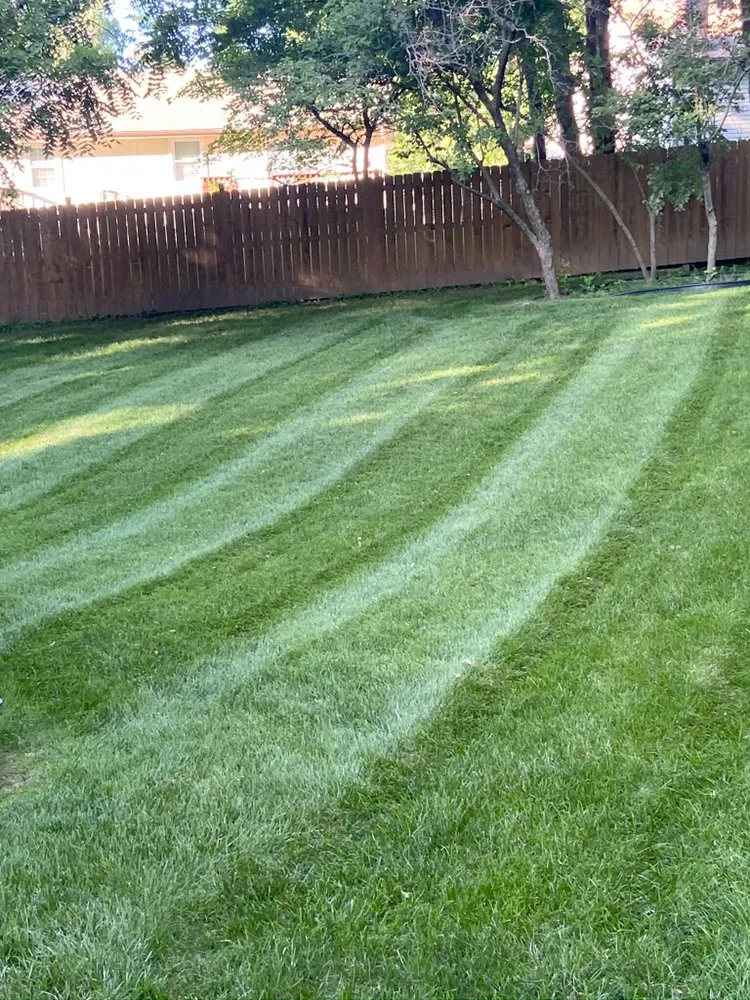 Expert residential landscaping in Kansas City, KS - Tidd lawn care
