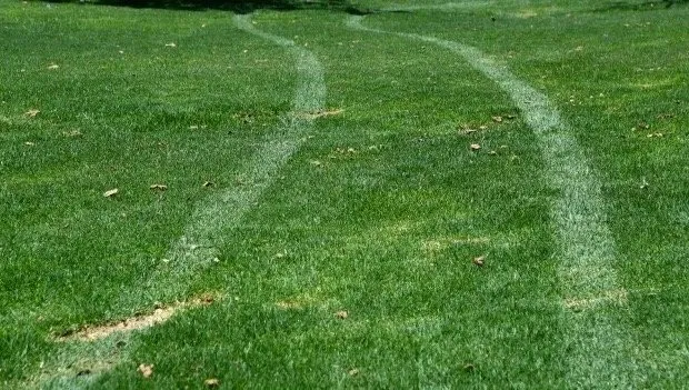 Professional yard maintenance experts serving Kansas City, KS - Tidd lawn care
