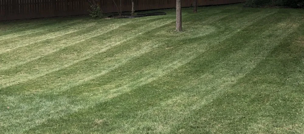 Top-rated landscape installation experts serving Kansas City, KS - Tidd lawn care