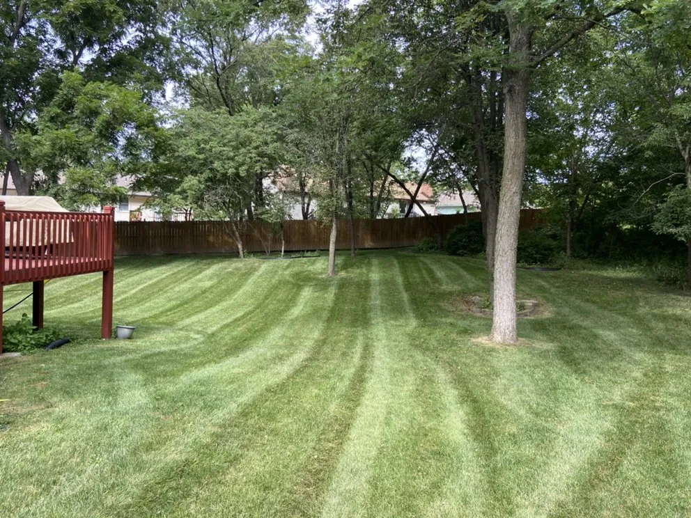 Custom yard cleanup service for residential properties across Kansas City, KS - Tidd lawn care