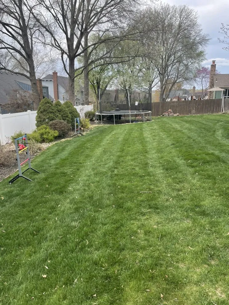 Reliable yard maintenance experts serving Kansas City, KS - Tidd lawn care