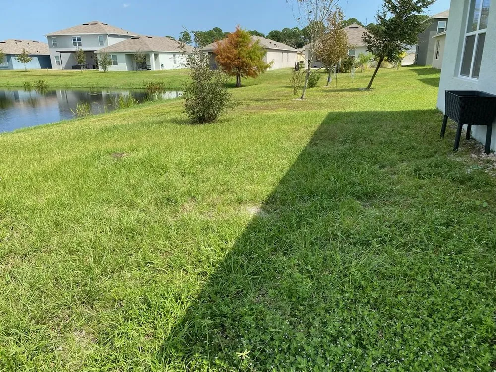 Custom garden landscaping in Oak Hill, FL by Tide & Turf Property Management