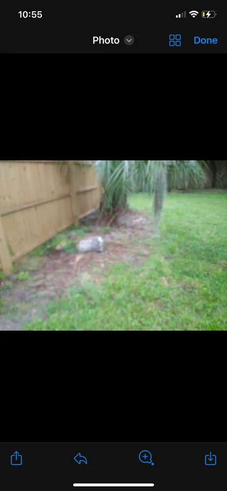 Trusted residential landscaping in Oak Hill, FL - Tide & Turf Property Management