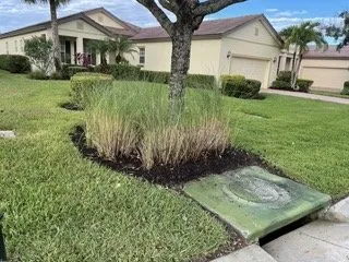 Trusted lawn care service experts serving Fort Myers, FL - Tide Water Landscape of Florida