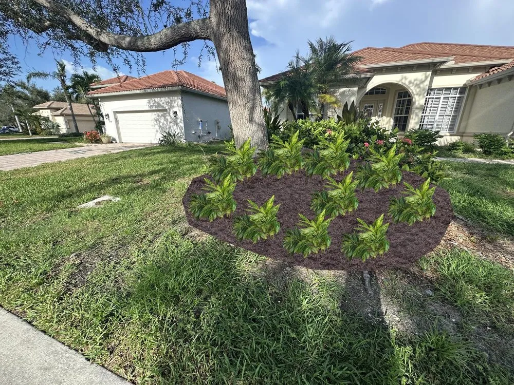 Affordable yard maintenance in Fort Myers, FL - Tide Water Landscape of Florida