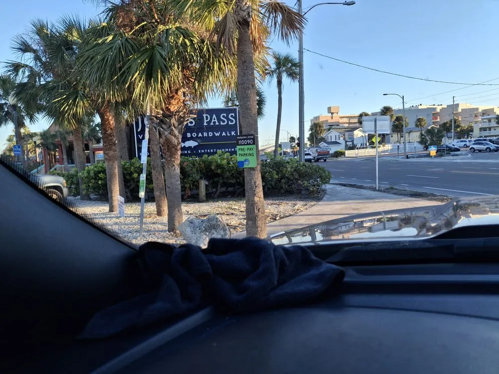 Top-rated garden landscaping for outdoor upgrades in Tampa Bay, FL by Tide Water Property Care