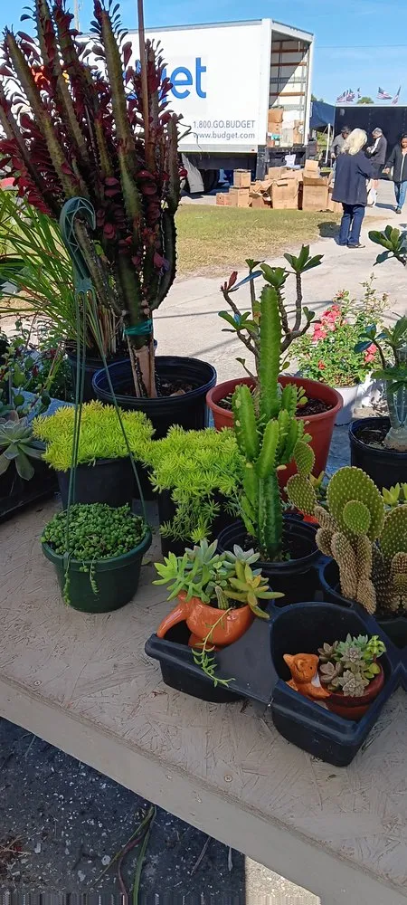 Reliable residential landscaping in Tampa Bay, FL - Tide Water Property Care