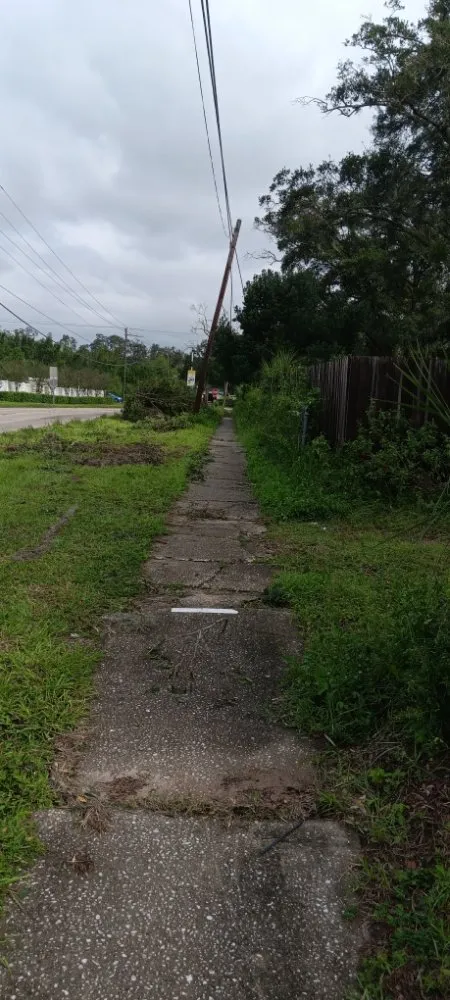 Reliable residential landscaping experts serving Tampa Bay, FL - Tide Water Property Care