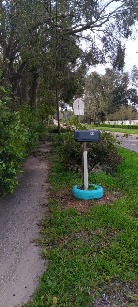 Top-rated landscape design in Tampa Bay, FL - Tide Water Property Care