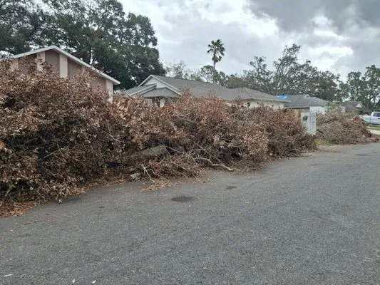 Tide Water Property Care Logo