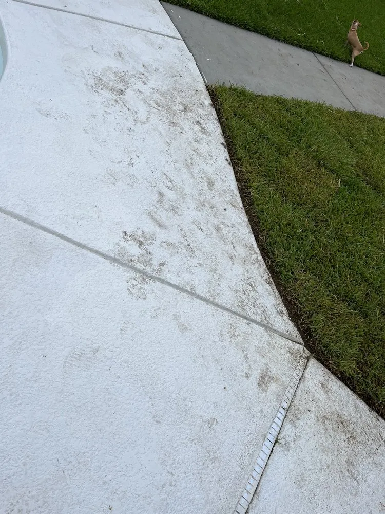 Reliable landscaping services experts serving Mount Pleasant, SC - Tidewater Landscape