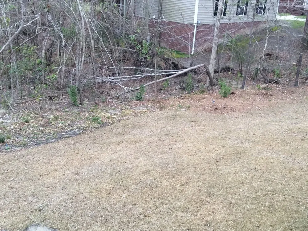 Expert garden landscaping in Hubert, NC by Tidewater Landscaping & Irrigation