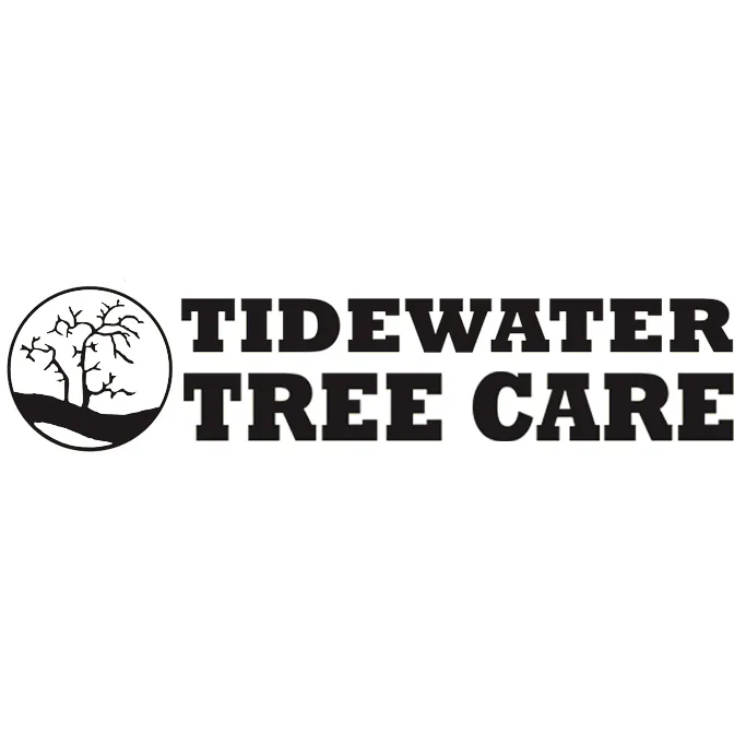 Expert yard cleanup service for residential properties across Bowdoinham, ME - Tidewater Tree Care