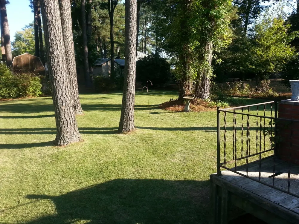 Expert outdoor landscaping in Newport News, VA by Tidewater Turf Care