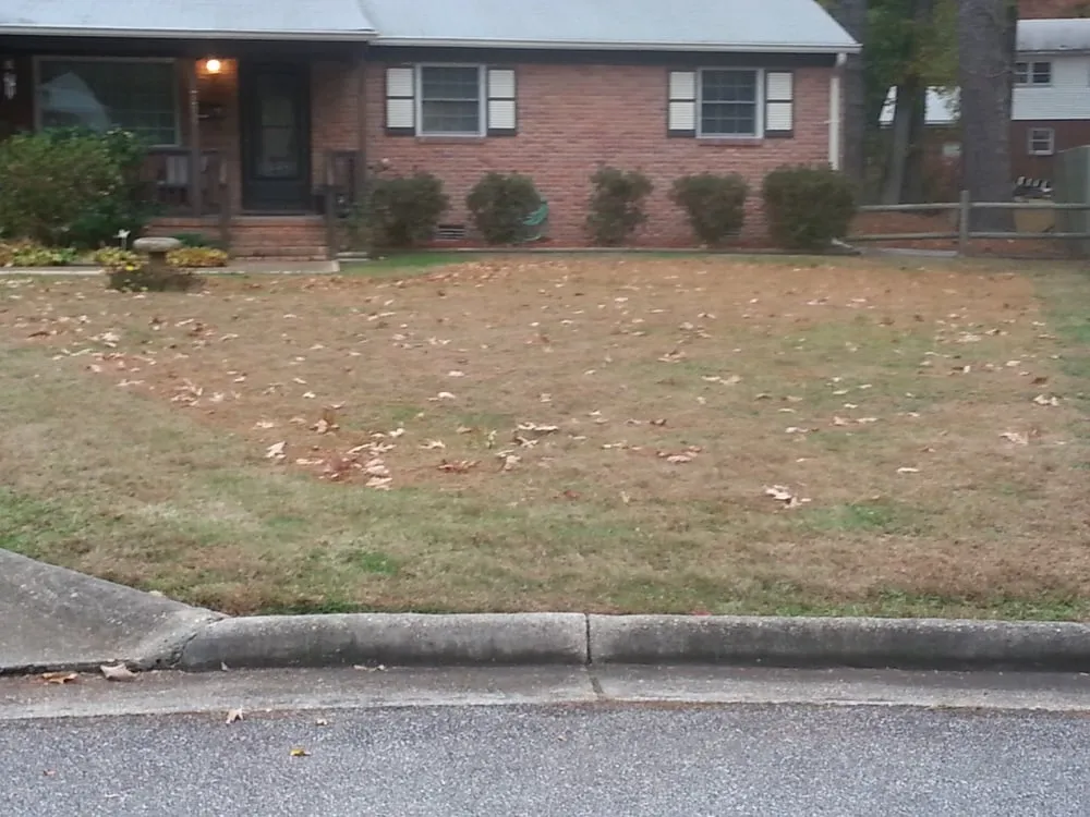 Expert garden landscaping for outdoor upgrades in Newport News, VA by Tidewater Turf Care