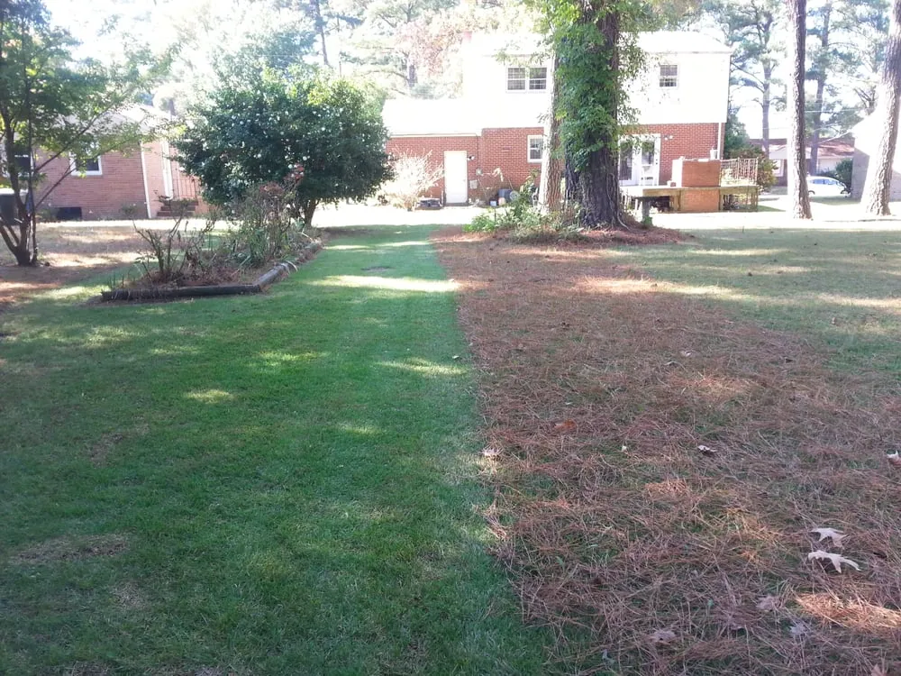 Affordable garden landscaping in Newport News, VA - Tidewater Turf Care