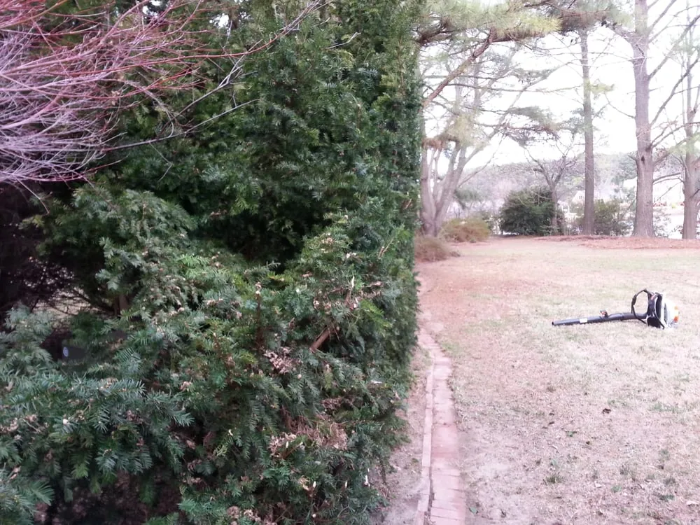 Top-rated outdoor landscaping in Newport News, VA by Tidewater Turf Care