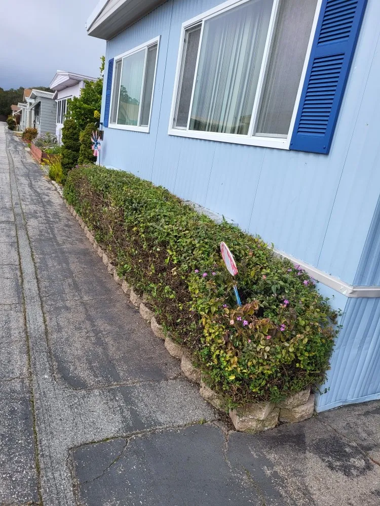 Custom yard maintenance experts serving Santa Cruz, CA - Tidey Up