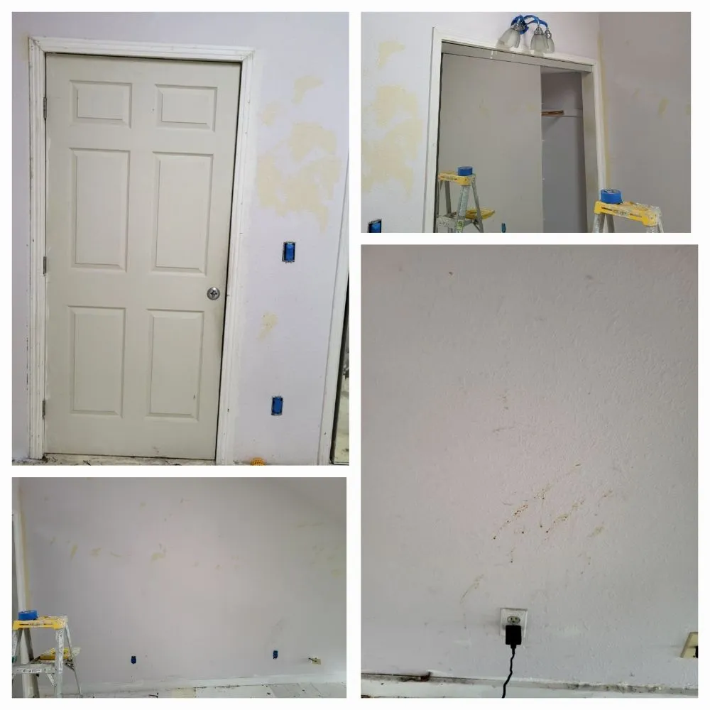 Reliable landscaping services in Santa Cruz, CA by Tidey Up