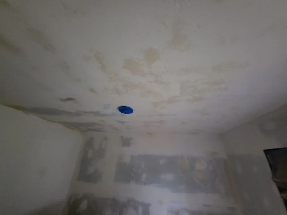 Trusted garden landscaping for residential properties in Santa Cruz, CA by Tidey Up