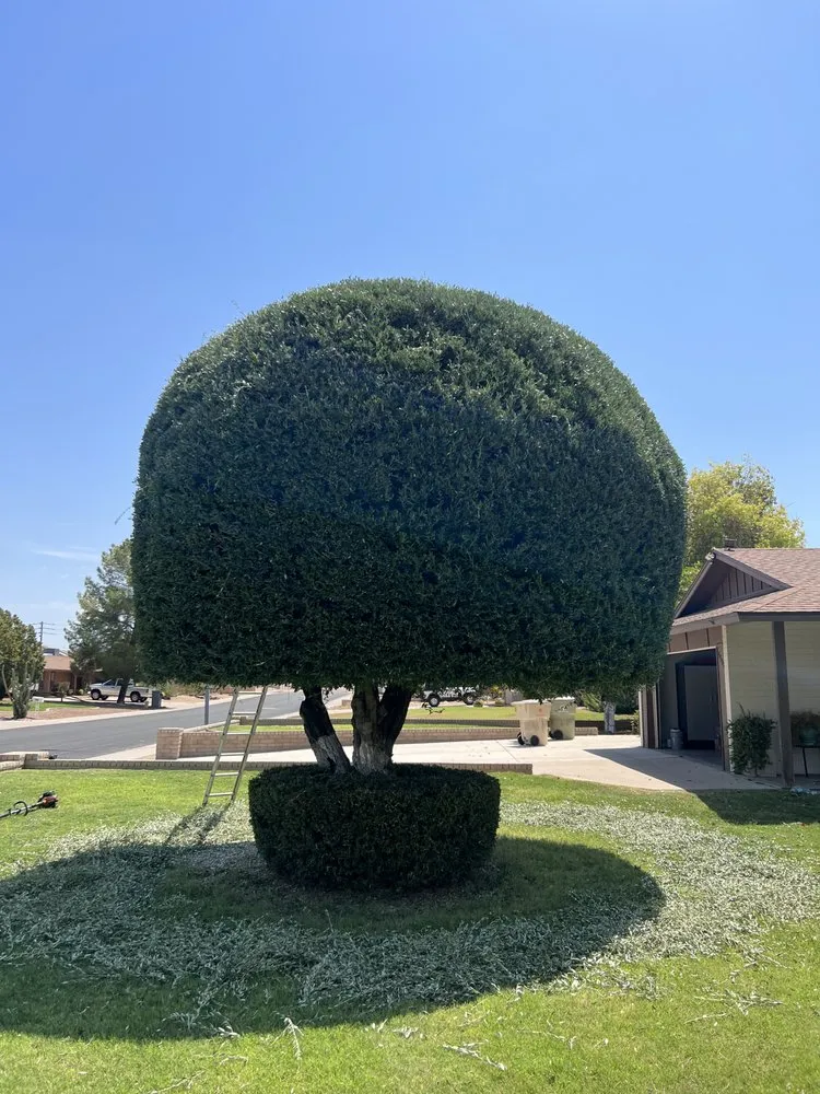 Custom lawn mowing service in El Mirage, AZ - Tidos Home Services