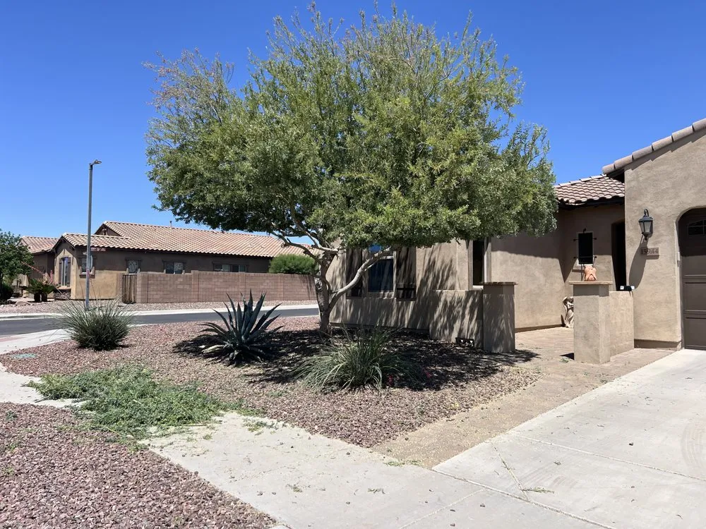 Professional yard maintenance in El Mirage, AZ by Tidos Home Services