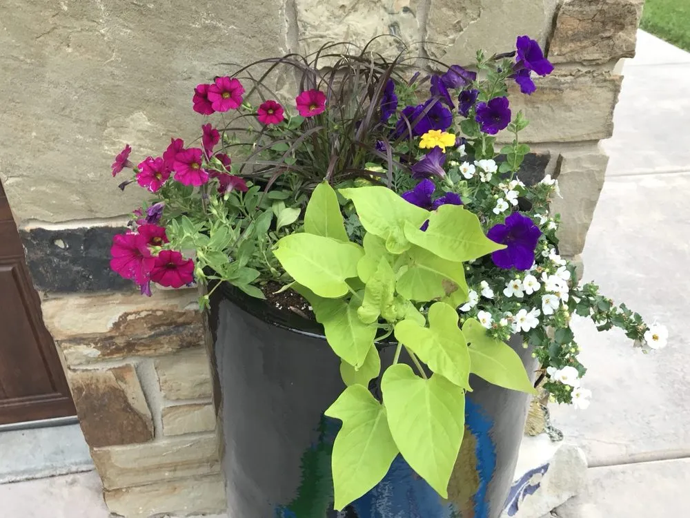 Reliable landscape design for beautiful yards across Maize, KS - Tidy & Trustworthy Home Cleaning & Yard & Flower Maintenance