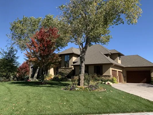 Tidy & Trustworthy Home Cleaning & Yard & Flower Maintenance