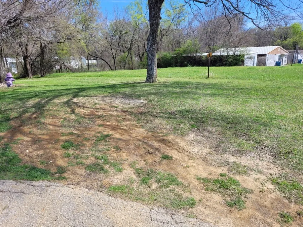 Expert lawn care service with custom design across Mabank, TX - Tidy Grounds Lawn Care
