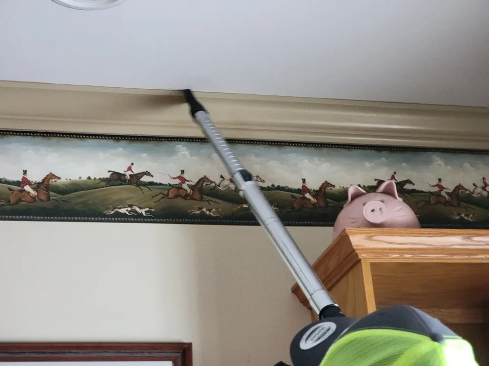 Expert yard cleanup service in Lisbon, NY - Tidy Homes & Trimmed Lawns