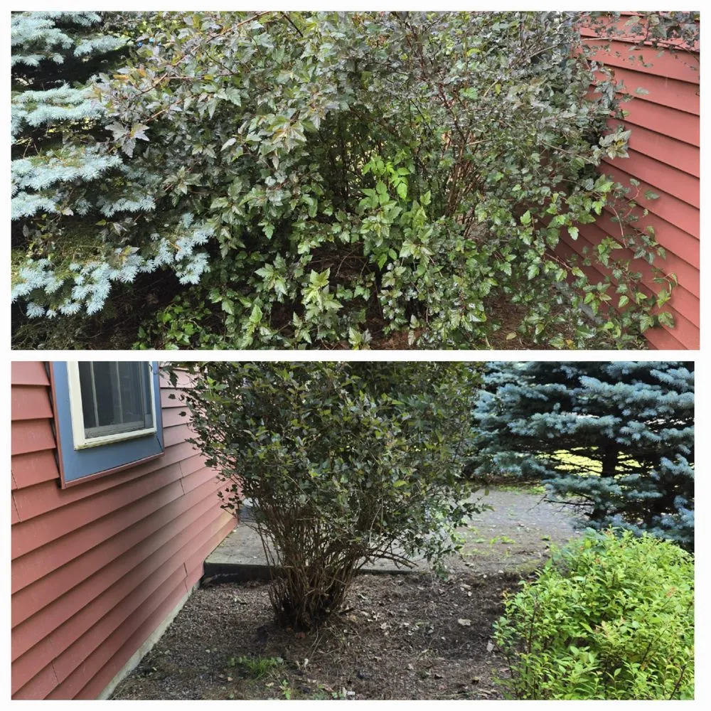 Trusted garden landscaping in Lisbon, NY - Tidy Homes & Trimmed Lawns