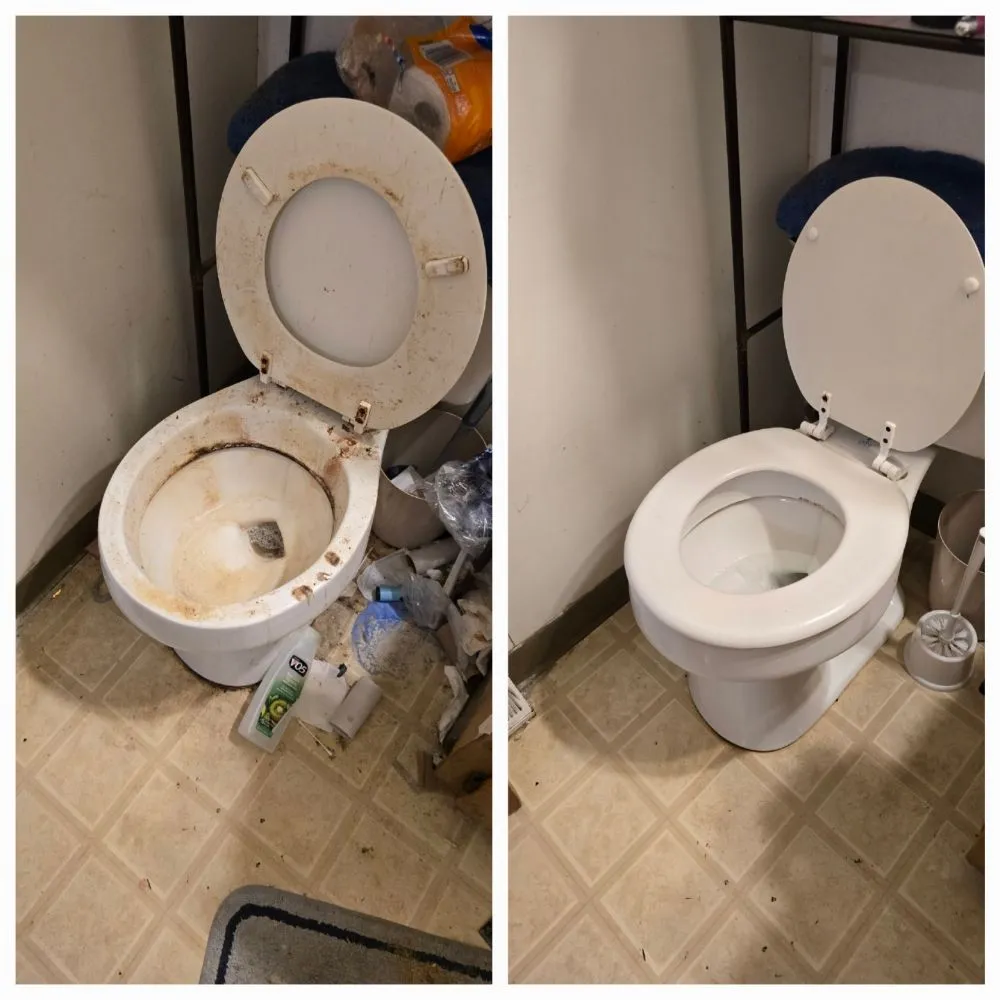 Professional lawn mowing service in Lisbon, NY by Tidy Homes & Trimmed Lawns