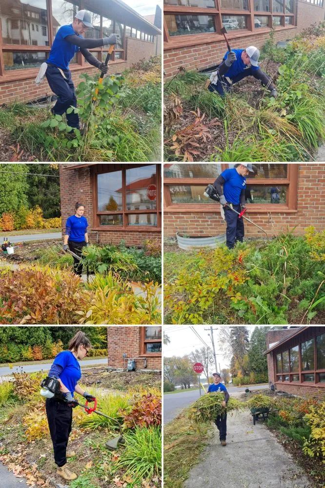 Reliable yard cleanup service experts serving Lisbon, NY - Tidy Homes & Trimmed Lawns