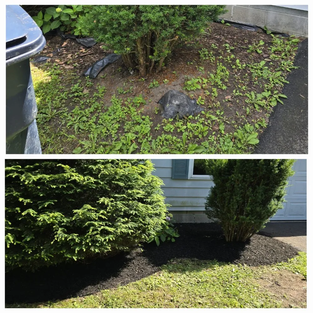 Professional lawn mowing service experts serving Lisbon, NY - Tidy Homes & Trimmed Lawns